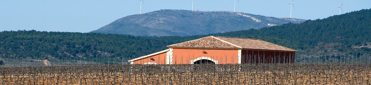 Bodega Altolandón