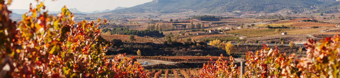 Bodegas Bilbaínas