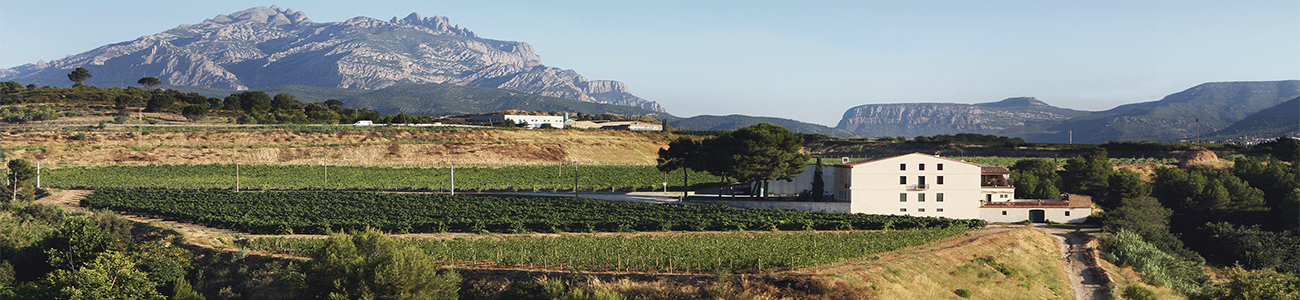 Ca n'Estruc Ca n'Estruc