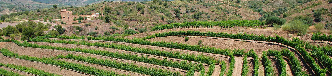 Casa Gran del Siurana Casa Gran del Siurana