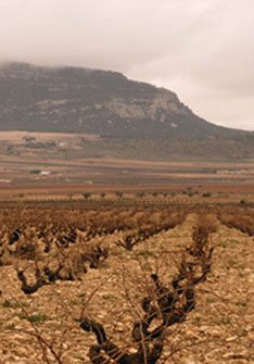 Bodegas Castaño