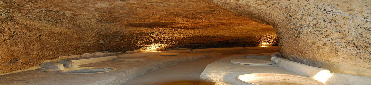 Celler del Roure Celler del Roure
