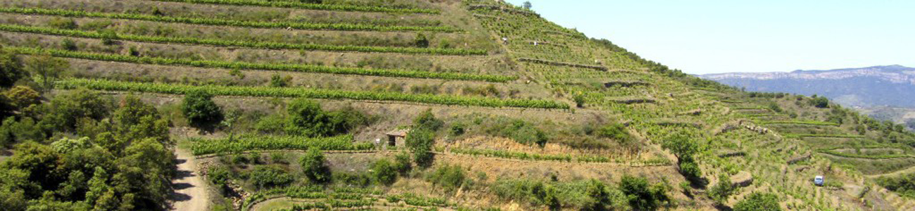 Celler de l'Encastell