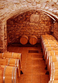 Celler Xavier Clua