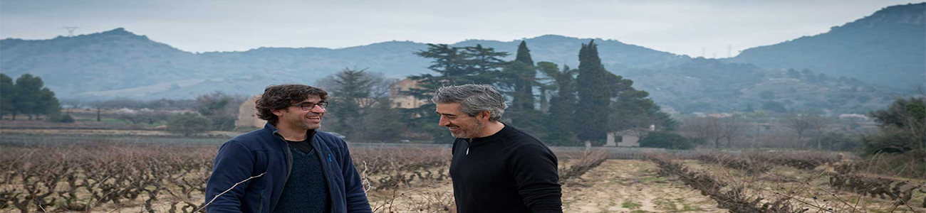 Celler Comunica Celler Comunica