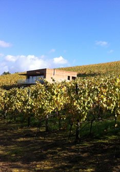 Bodega Eduardo Peña