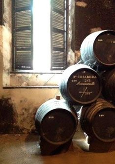 Esencia de la Andana