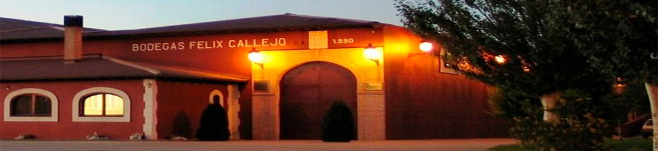Félix Callejo