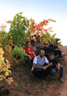 Garnachas de España