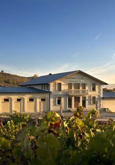 Bodegas y Viñedos Godelia