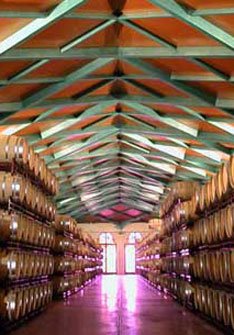 Grandes Vinos y Viñedos Grandes Vinos y Viñedos