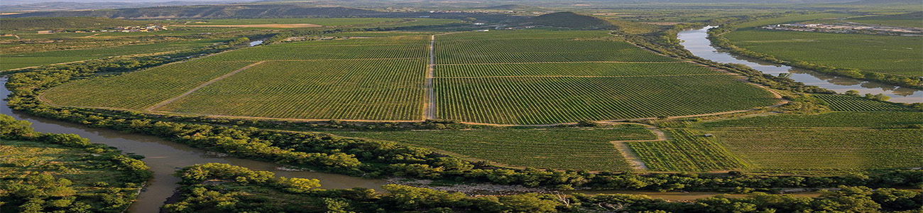 Bodegas Lan