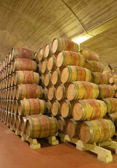 Luis Cañas Luis Cañas