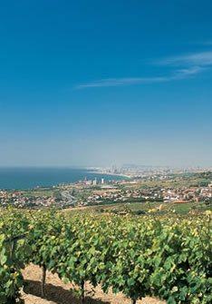 Marqués de Alella Marqués de Alella