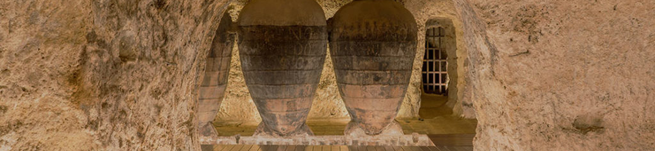 Bodegas Murviedro Bodegas Murviedro