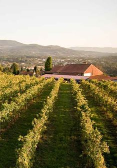 Bodega Viña Nora