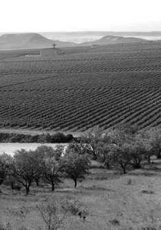 Palacios Remondo Palacios Remondo