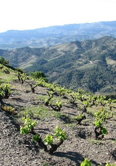 Priorat