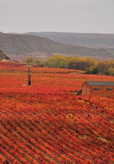 Rioja