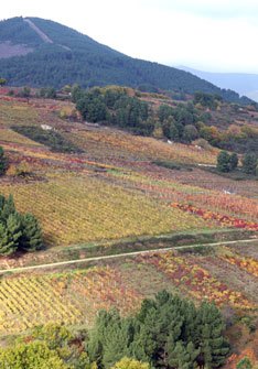 Santa Marta Bodegas