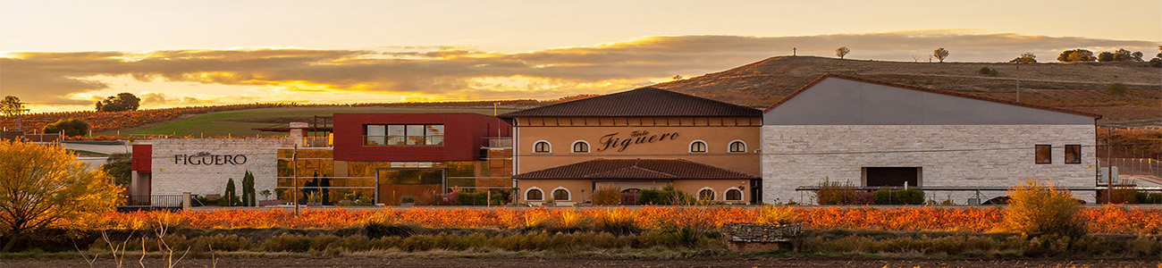 Bodegas y Viñedos García Figuero