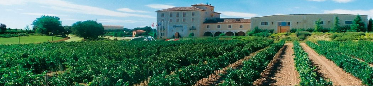 Finca Torremilanos