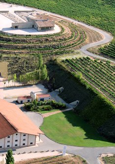 Bodegas Valduero