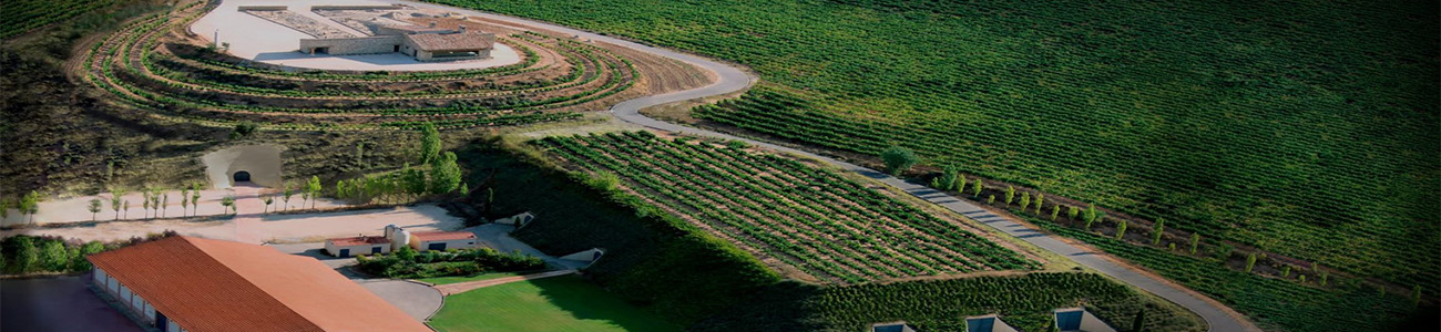 Bodegas Valduero Bodegas Valduero