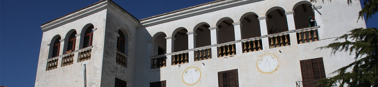 Celler VallDolina Celler VallDolina