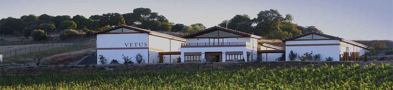 Bodegas Vetus Bodegas Vetus