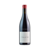 vino rodrigo méndez a raio da vella caiño tinto 2022