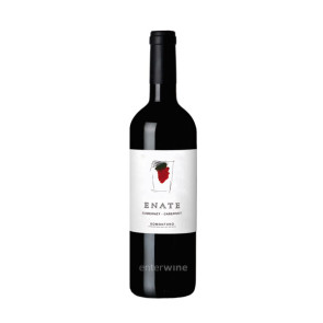 Enate Cabernet-Cabernet 2011