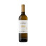 white wine castell del remei oda blanc 2020