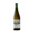 white wine castell del remei oda blanc 2024