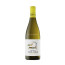 white wine cérvoles colors blanc 2022