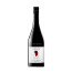 red wine enate cabernet-cabernet 2021