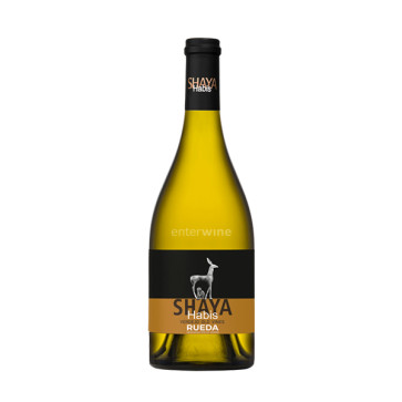 vino shaya habis 2016