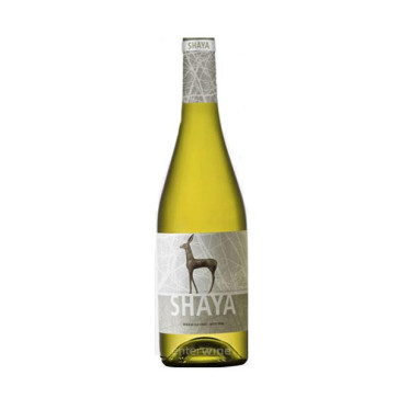 vino shaya verdejo 2018
