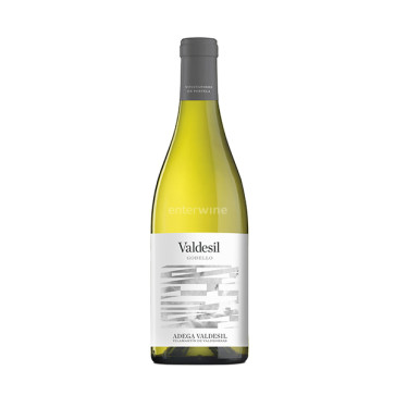 vino valdesil godello 2024