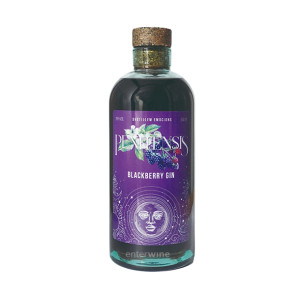 Ginebra Penitensis Blackberry Gin