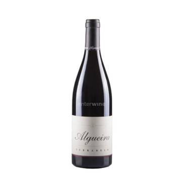 algueira brancellao 2010