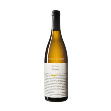 vino llavors blanc 2019 vino llavors blanc 2019