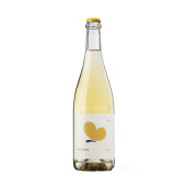 maria casanovas vinya lluny ancestral 2023