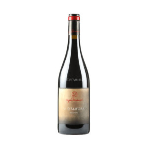 vino vinyes domènech vi d'àmfora 2019