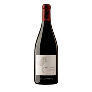 Vallegarcía Syrah 2009 Mágnum