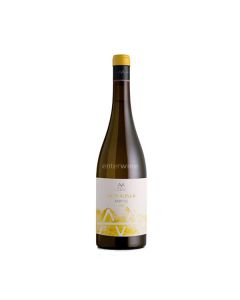 vino parvus chardonnay 2024