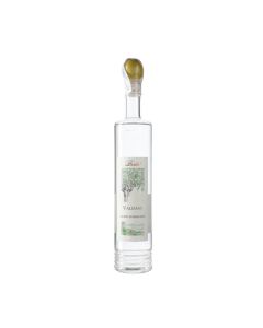 grappa berta valdavi