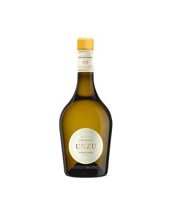 vino unzu chardonnay 2024