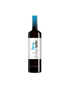 coto de hayas sólo tirio syrah 2013