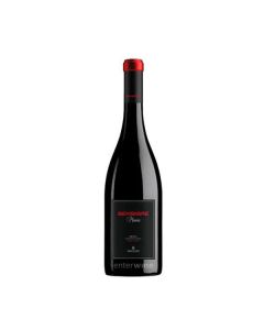 bembibre 2009